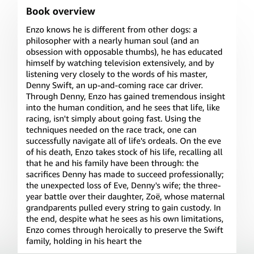 The Art of Racing in the Rain A Novel Garth Stein paperback NY Times best seller - Picture 3 of 10